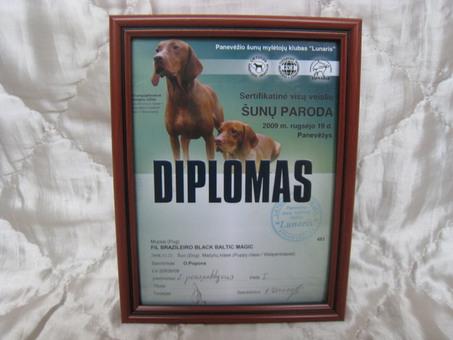 PUPPY LT